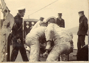 AR_1981_176_1_473.jpg