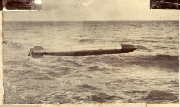 AR_1981_176_1_477.jpg