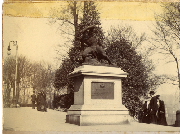 AR_1981_176_1_480.jpg