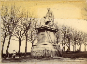 AR_1981_176_1_482.jpg