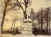 AR_1981_176_1_483.jpg