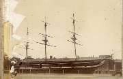 AR_1981_176_1_506.jpg