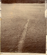 AR_1981_176_1_514.jpg