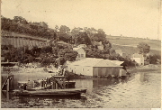 AR_1981_176_1_528.jpg