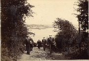 AR_1981_176_1_529.jpg