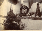 AR_1981_176_1_531.jpg
