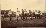 AR_1981_176_1_539.jpg