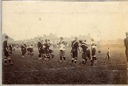 AR_1981_176_1_540.jpg
