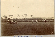 AR_1981_176_1_541.jpg