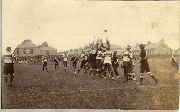AR_1981_176_1_542.jpg