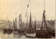 AR_1981_176_1_549.jpg