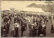 AR_1981_176_1_554.jpg
