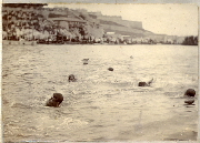 AR_1981_176_1_559.jpg