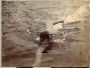 AR_1981_176_1_560.jpg