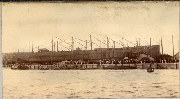 AR_1981_176_1_574.jpg
