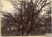 AR_1981_176_2_091.jpg