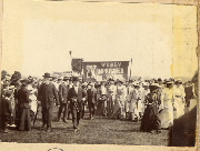 AR_1981_176_2_104.jpg