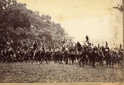 AR_1981_176_2_118.jpg