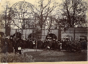 AR_1981_176_2_131.jpg