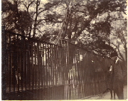 AR_1981_176_2_133.jpg