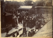 AR_1981_176_2_134.jpg