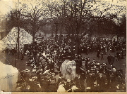AR_1981_176_2_135.jpg