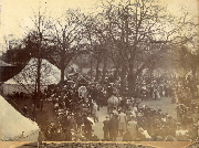 AR_1981_176_2_136.jpg