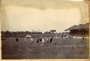 AR_1981_176_2_138.jpg