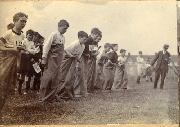 AR_1981_176_2_144.jpg