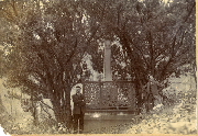 AR_1981_176_2_163.jpg