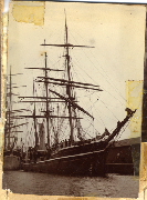 AR_1981_176_2_167.jpg