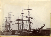 AR_1981_176_2_169.jpg