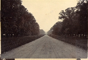 AR_1981_176_2_193.jpg