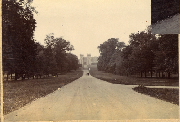 AR_1981_176_2_194.jpg