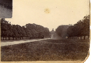 AR_1981_176_2_195.jpg
