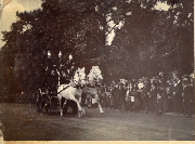 AR_1981_176_2_199.jpg