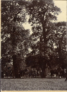 AR_1981_176_2_202.jpg