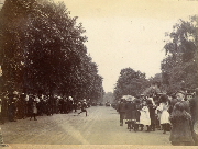 AR_1981_176_2_204.jpg
