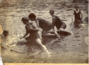 AR_1981_176_2_224.jpg