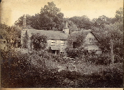 AR_1981_176_2_237.jpg
