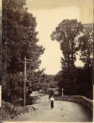 AR_1981_176_2_238.jpg