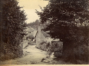 AR_1981_176_2_240.jpg