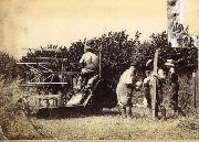 AR_1981_176_2_244.jpg