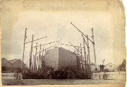 AR_1981_176_2_247.jpg