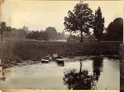 AR_1981_176_2_277.jpg