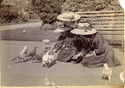 AR_1981_176_2_287.jpg