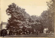 AR_1981_176_2_289.jpg