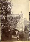 AR_1981_176_2_293.jpg