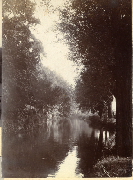 AR_1981_176_2_296.jpg