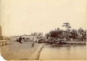 AR_1981_176_2_302.jpg